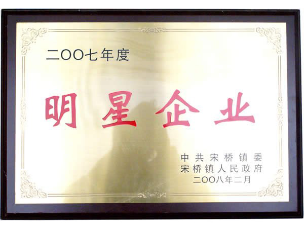 2007年度明星企業(yè)